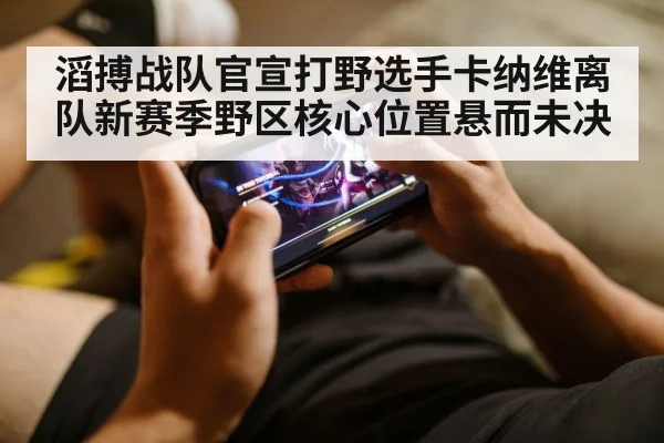 滔搏战队官宣打野选手卡纳维离队新赛季野区核心位置悬而未决
